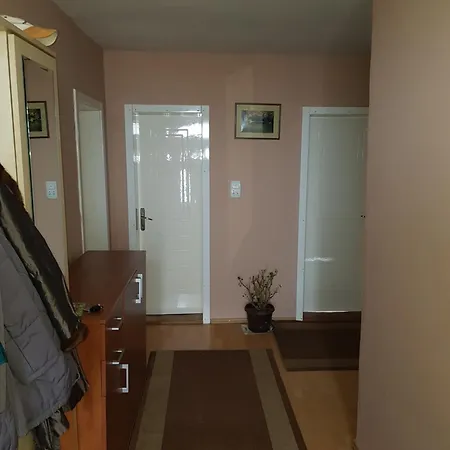 公寓 Sobe I Djordjevic 姆拉代诺瓦茨